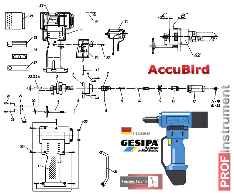 AccuBird GESIPA